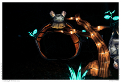 China Light Festival 2019