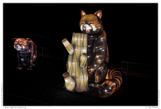 China Light Festival 2019