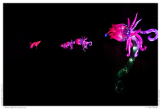 China Light Festival 2019