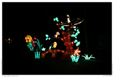 China Light Festival 2019