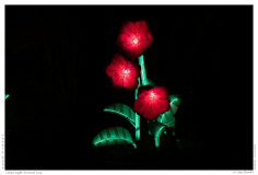 China Light Festival 2019