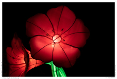 China Light Festival 2019