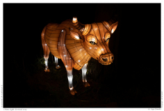 China Light Festival 2019