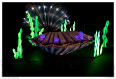 China Light Festival 2019