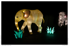 China Light Festival 2019