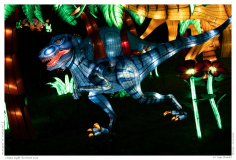 China Light Festival 2019