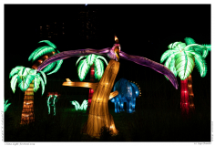 China Light Festival 2019