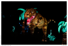 China Light Festival 2019