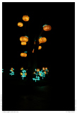 China Light Festival 2019