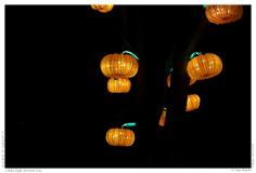 China Light Festival 2019