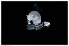 China Light Festival 2019