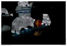 China Light Festival 2019