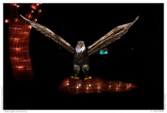 China Light Festival 2019