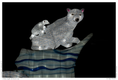 China Light Festival 2019