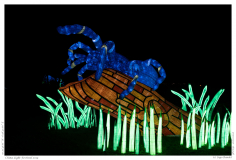 China Light Festival 2019