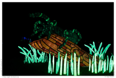 China Light Festival 2019