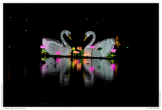 China Light Festival 2019