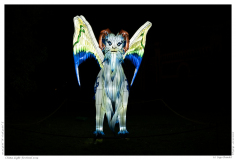 China Light Festival 2019