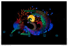 China Light Festival 2019