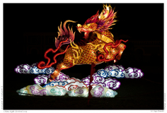 China Light Festival 2019