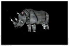 China Light Festival 2019