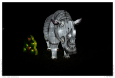 China Light Festival 2019