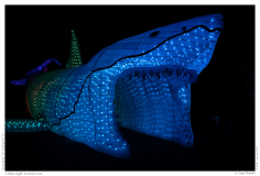 China Light Festival 2019