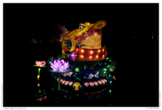 China Light Festival 2019