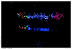 China Light Festival 2019