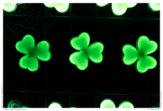 China Light Festival 2019