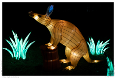 China Light Festival 2019