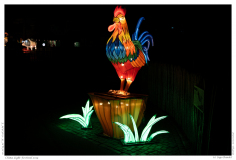 China Light Festival 2019