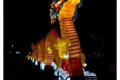 China Light Festival 2019