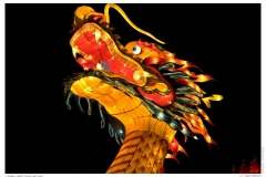 China Light Festival 2019