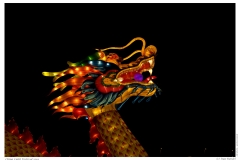 China Light Festival 2019