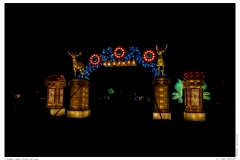 China Light Festival 2019