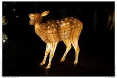 China Light Festival 2019