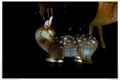 China Light Festival 2019