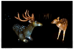 China Light Festival 2019
