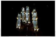 China Light Festival 2019