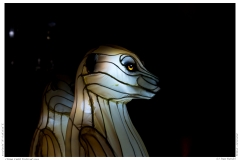 China Light Festival 2019