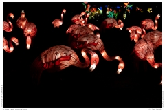 China Light Festival 2019