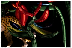China Light Festival 2019 China Light Festival 2019
