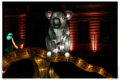 China Light Festival 2019