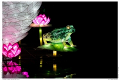 China Light Festival 2019