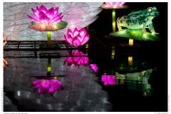 China Light Festival 2019
