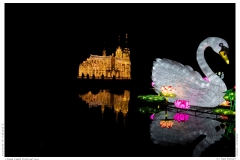China Light Festival 2019