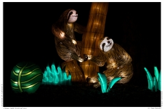 China Light Festival 2019