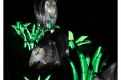 China Light Festival 2019