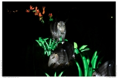 China Light Festival 2019 China Light Festival 2019